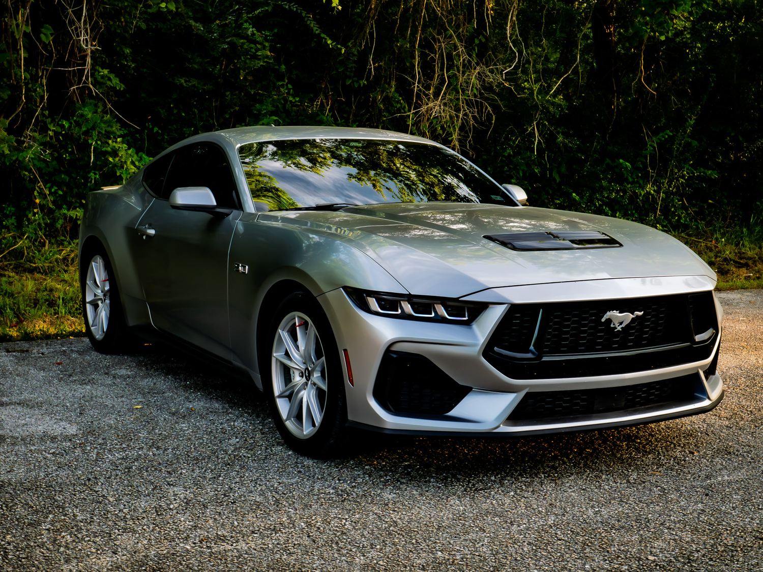 Silver Mustang GT at golden hour