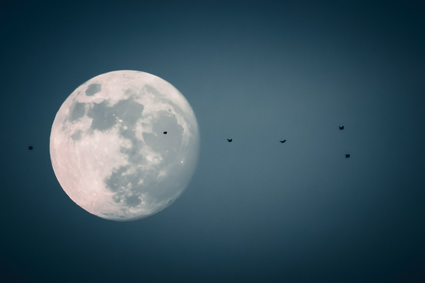 Moonrise &mdash; John Paul Landing Park, Cypress, Harris County