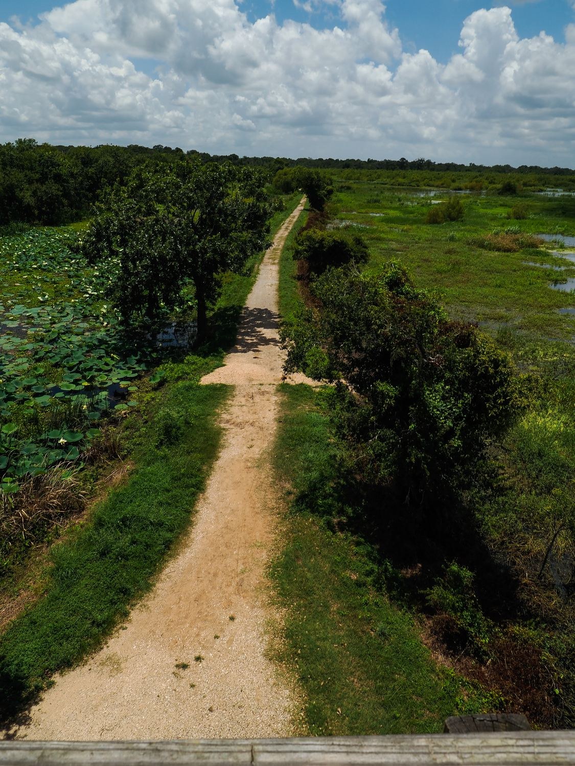 Trail through the prairie &mdash; Brazos Bend State Park, Fort Bend County
