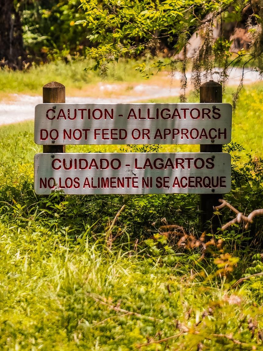 Alligator advisory &mdash; Brazos Bend State Park, Fort Bend County
